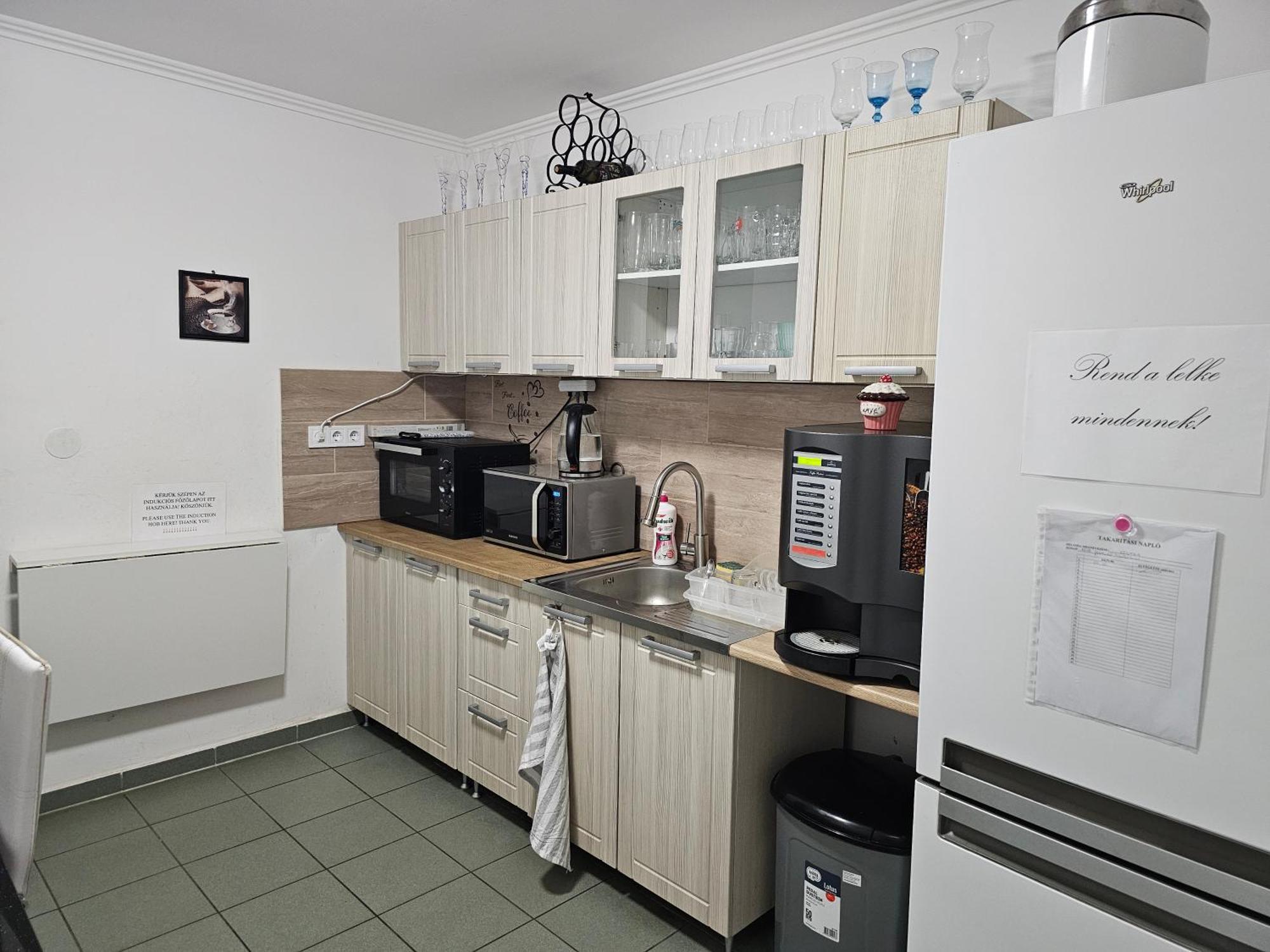 Borostyan Panzio Bed and Breakfast Debrecen Buitenkant foto